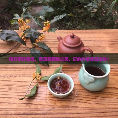 揭开雨林秘境，普洱茶藏韵之美，它的价格竟然这样？
