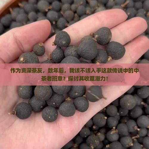 作为资深茶友，数年后，我该不该入手这款传说中的中茶老班章？探讨其收藏潜力！
