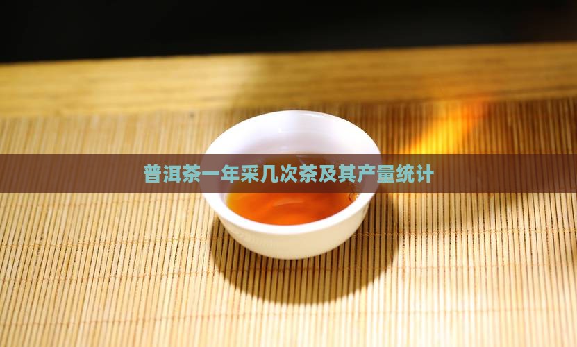 普洱茶一年采几次茶及其产量统计