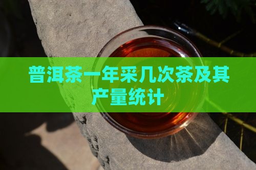 普洱茶一年采几次茶及其产量统计