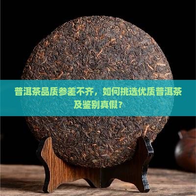 普洱茶品质参差不齐，如何挑选优质普洱茶及鉴别真假？