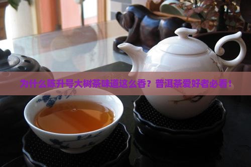 为什么陈升号大树茶味道这么香？普洱茶爱好者必看！