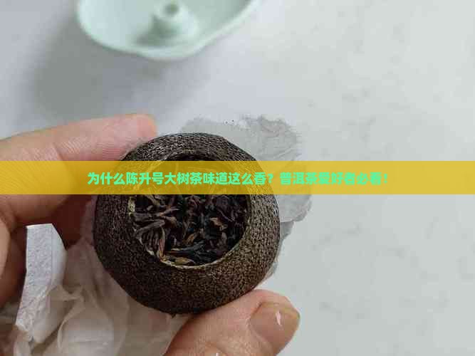 为什么陈升号大树茶味道这么香？普洱茶爱好者必看！