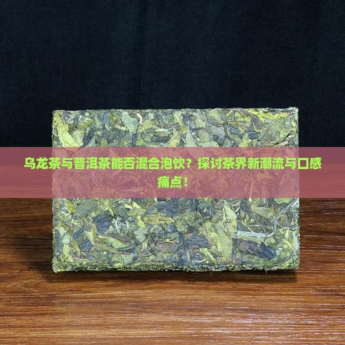 乌龙茶与普洱茶能否混合泡饮？探讨茶界新潮流与口感痛点！