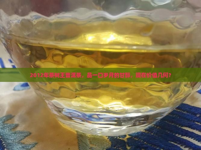 2012年茶树王普洱茶，品一口岁月的甘醇，现在价值几何？