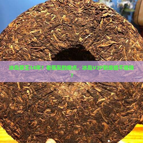 冰岛茶王14年？老茶友的痛点，冰岛V2P到底值不值钱？