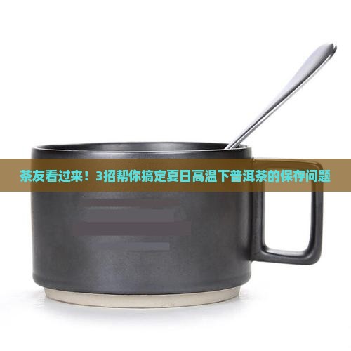 茶友看过来！3招帮你搞定夏日高温下普洱茶的保存问题