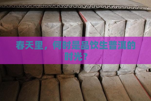 春天里，何时是品饮生普洱的时光？