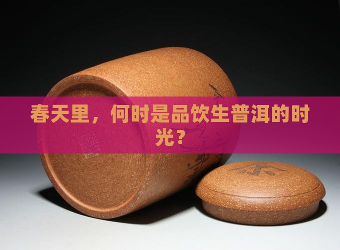 春天里，何时是品饮生普洱的时光？