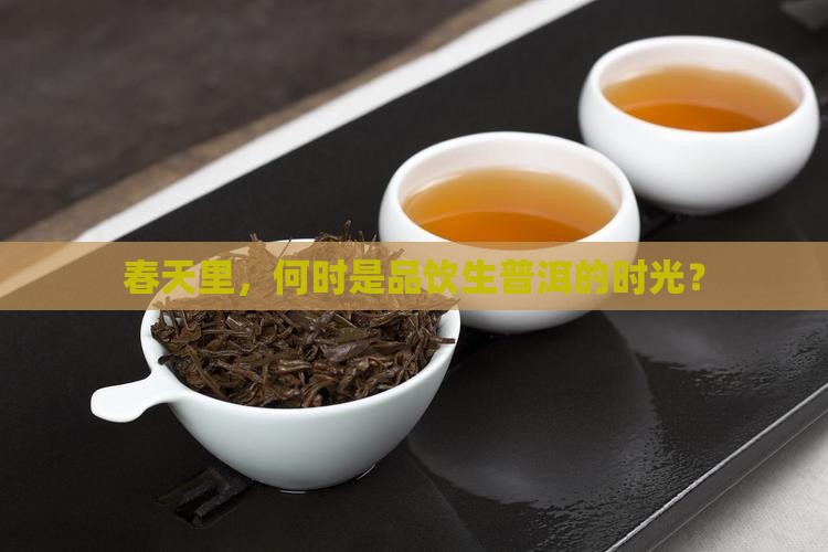 春天里，何时是品饮生普洱的时光？