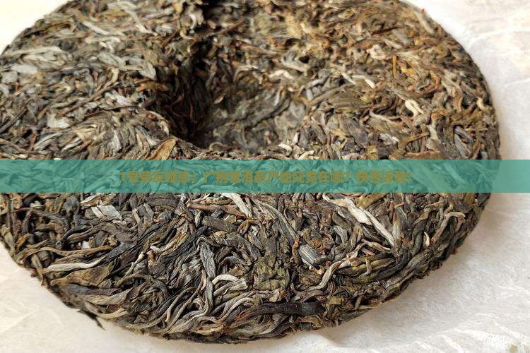 1号茶友疑惑：广别普洱茶产地究竟在哪？快告诉我！