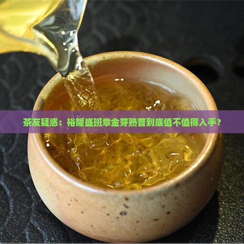 茶友疑惑：裕隆盛班章金芽熟普到底值不值得入手？