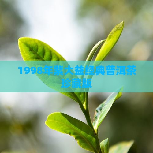 1998年紫大益经典普洱茶珍藏版