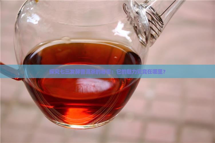 探究七三发酵普洱茶的秘密：它的魅力究竟在哪里？