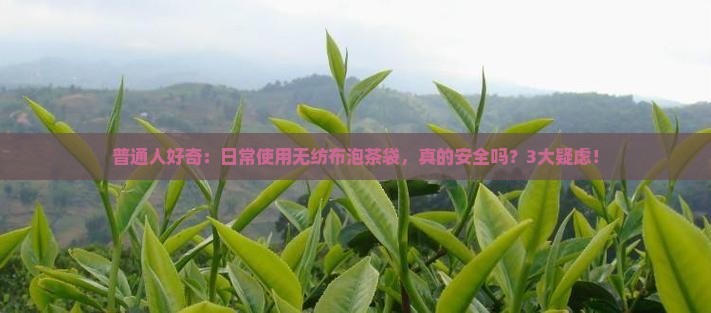 普通人好奇：日常使用无纺布泡茶袋，真的安全吗？3大疑虑！