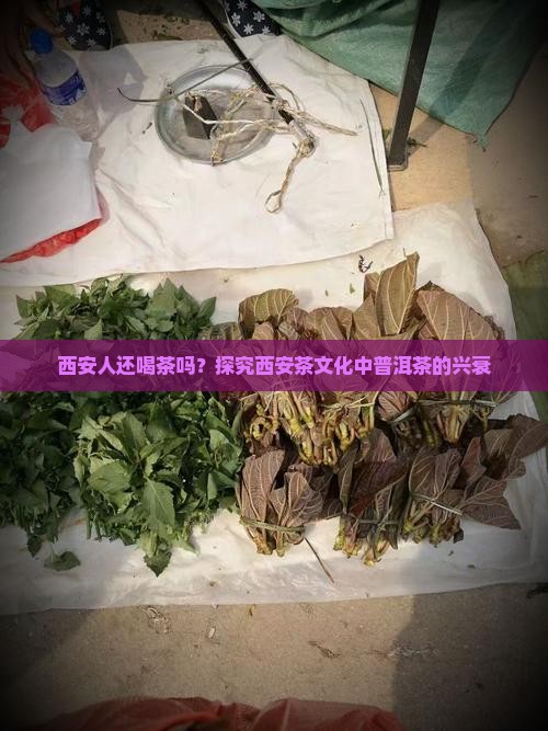 西安人还喝茶吗？探究西安茶文化中普洱茶的兴衰