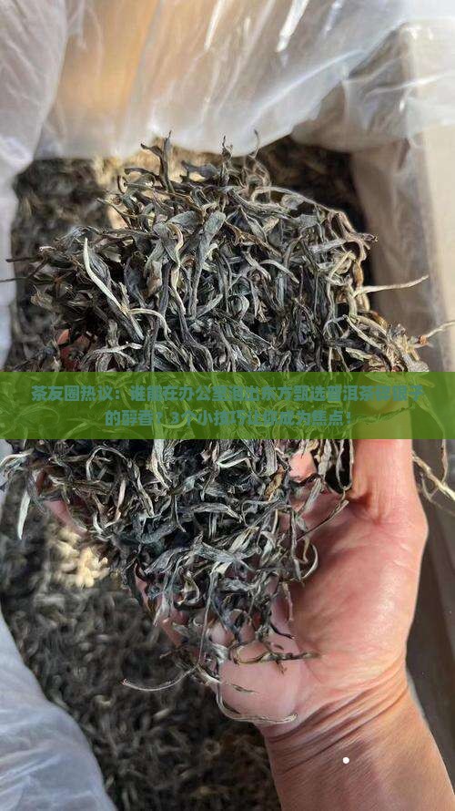 茶友圈热议：谁能在办公室泡出东方甄选普洱茶碎银子的醇香？3个小技巧让你成为焦点！