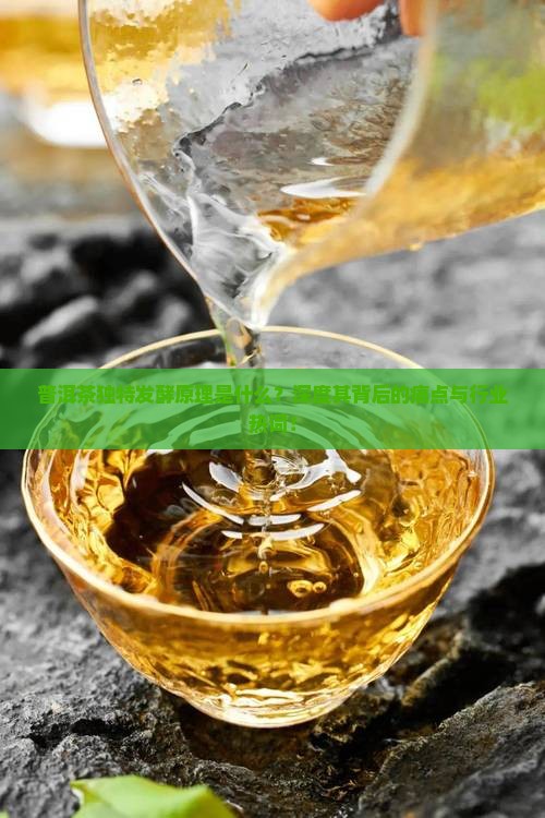 普洱茶独特发酵原理是什么？深度其背后的痛点与行业热词！