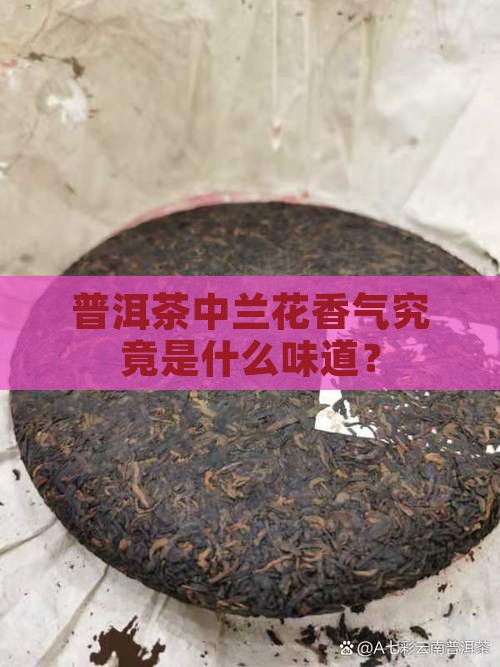 普洱茶中兰花香气究竟是什么味道？