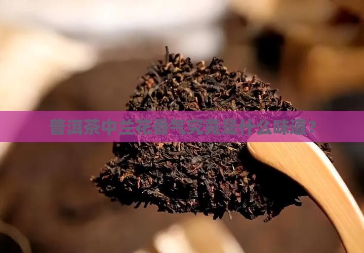 普洱茶中兰花香气究竟是什么味道？