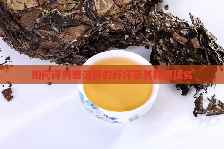 如何评判普洱茶的好坏及其程度优劣