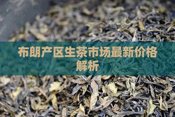 布朗产区生茶市场最新价格解析