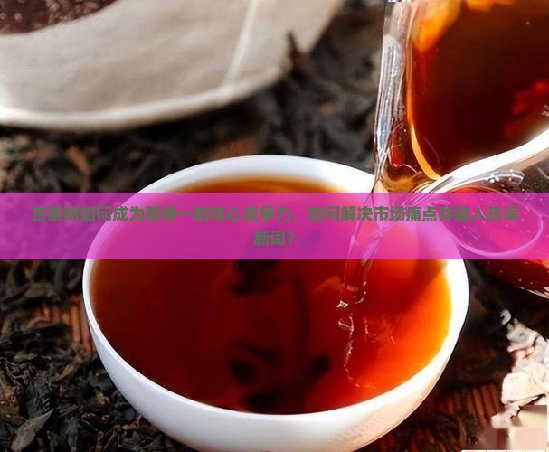 古茶树如何成为茶桥一的核心竞争力，如何解决市场痛点并融入热词新词？