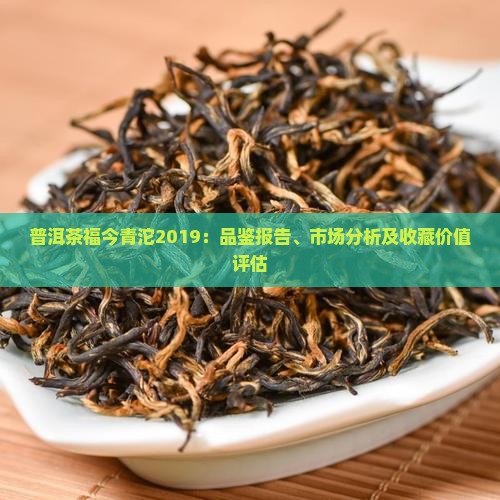 普洱茶福今青沱2019：品鉴报告、市场分析及收藏价值评估