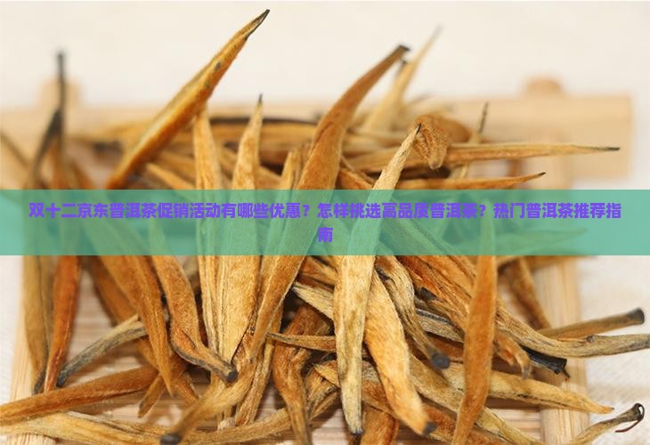 双十二京东普洱茶促销活动有哪些优惠？怎样挑选高品质普洱茶？热门普洱茶推荐指南