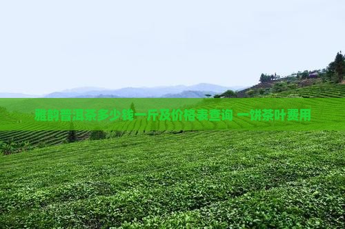 雅韵普洱茶多少钱一斤及价格表查询 一饼茶叶费用
