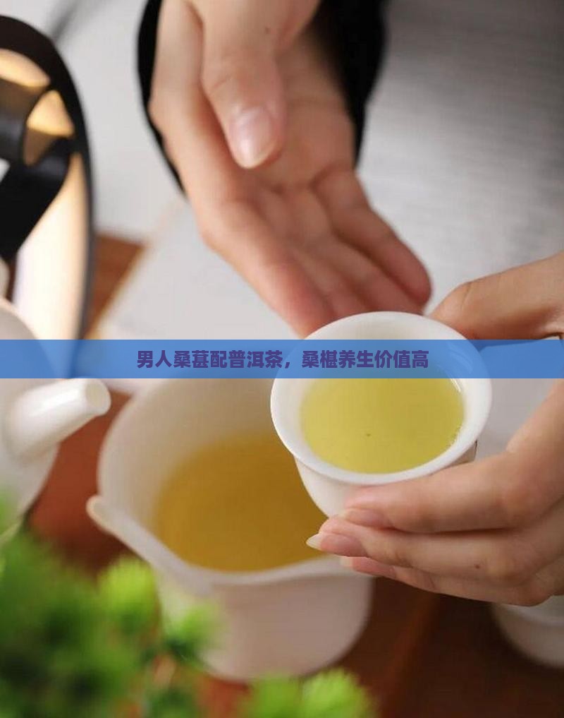 男人桑葚配普洱茶，桑椹养生价值高