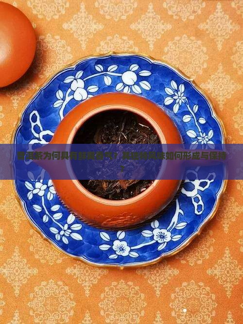 普洱茶为何具有鲜爽香气？其独特风味如何形成与保持？