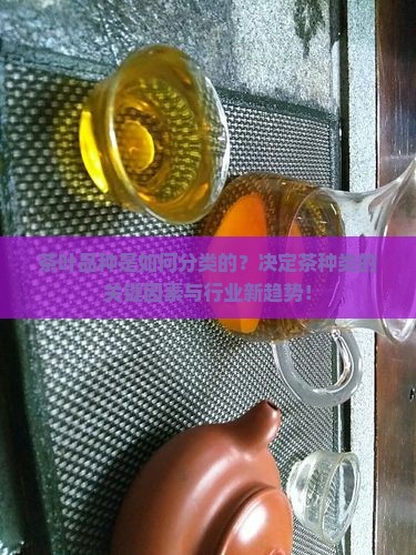 茶叶品种是如何分类的？决定茶种类的关键因素与行业新趋势！