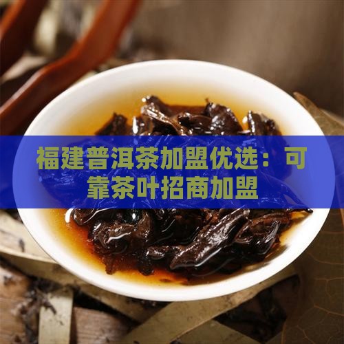 福建普洱茶加盟优选：可靠茶叶招商加盟