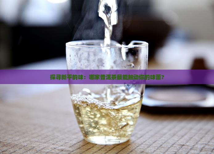 探寻新平韵味：哪家普洱茶最能触动你的味蕾？