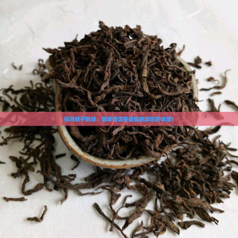 探寻新平韵味：哪家普洱茶最能触动你的味蕾？