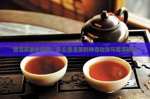 普洱茶故乡探秘：安丘普洱茶的神奇功效与普洱精髓
