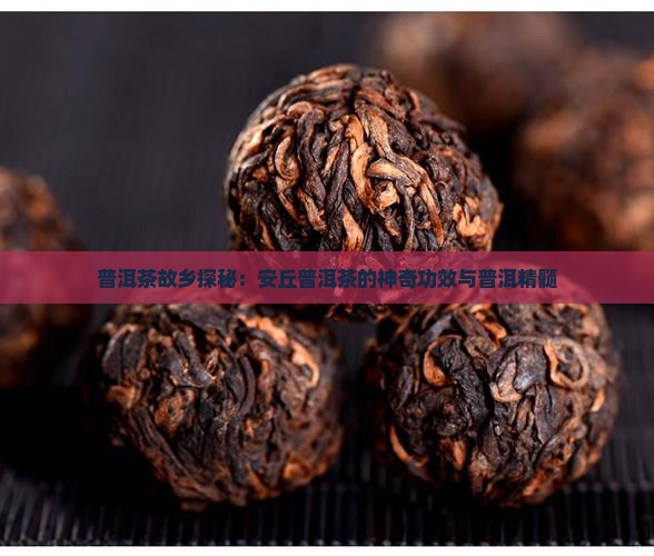 普洱茶故乡探秘：安丘普洱茶的神奇功效与普洱精髓