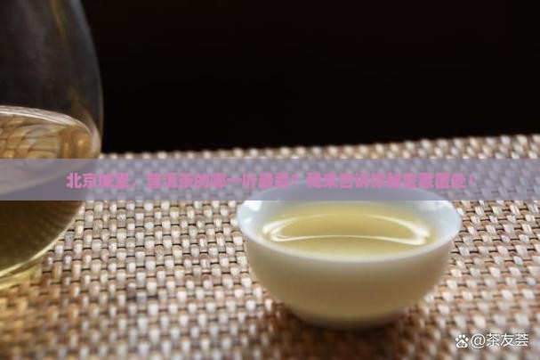 北京城里，普洱茶的哪一叶最香？我来告诉你秘密藏匿处！