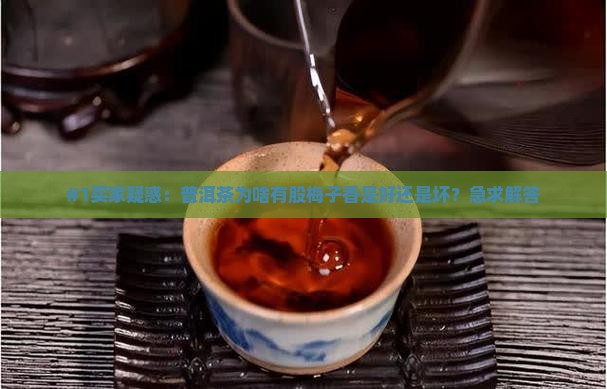 #1买家疑惑：普洱茶为啥有股梅子香是好还是坏？急求解答