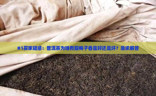 #1买家疑惑：普洱茶为啥有股梅子香是好还是坏？急求解答