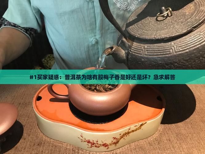 #1买家疑惑：普洱茶为啥有股梅子香是好还是坏？急求解答