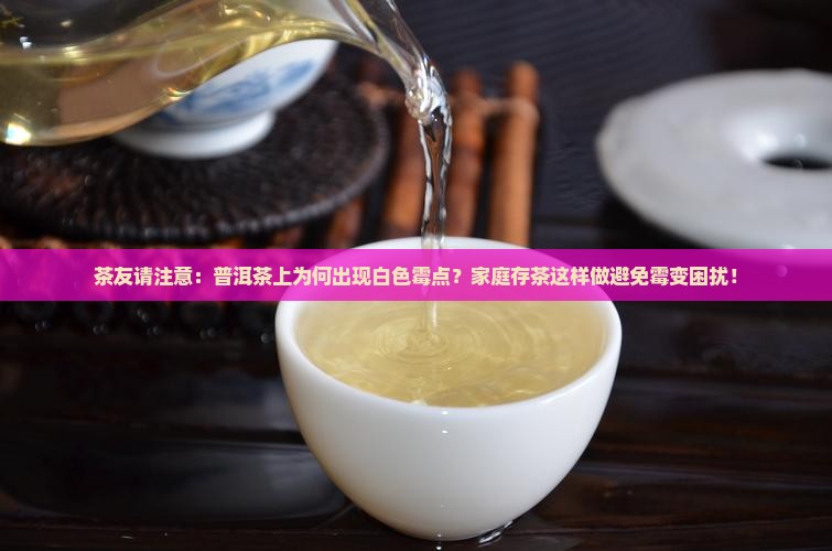 茶友请注意：普洱茶上为何出现白色霉点？家庭存茶这样做避免霉变困扰！