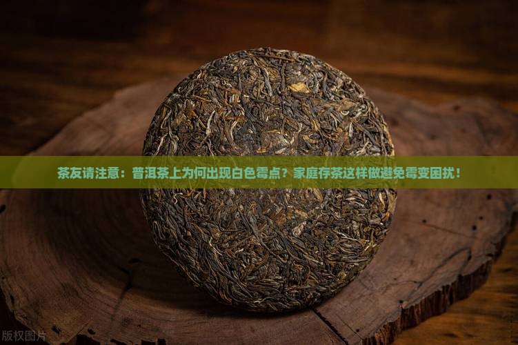 茶友请注意：普洱茶上为何出现白色霉点？家庭存茶这样做避免霉变困扰！