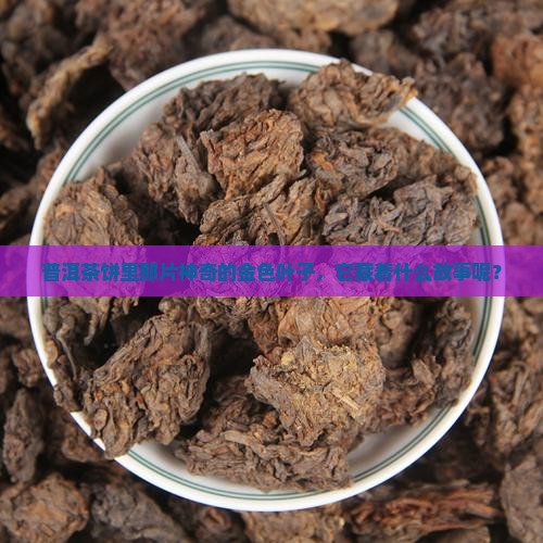 普洱茶饼里那片神奇的金色叶子，它藏着什么故事呢？