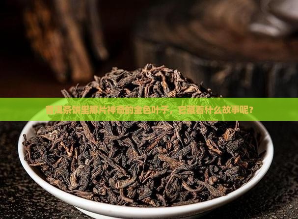 普洱茶饼里那片神奇的金色叶子，它藏着什么故事呢？