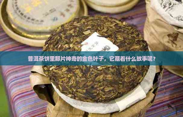 普洱茶饼里那片神奇的金色叶子，它藏着什么故事呢？