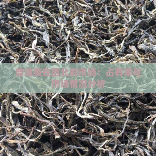 普洱茶在西北的市场：占有率与市场情况分析