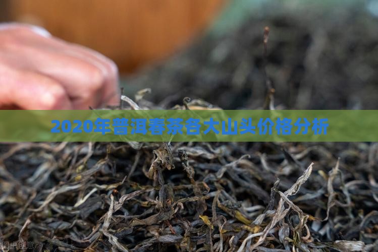 2020年普洱春茶各大山头价格分析