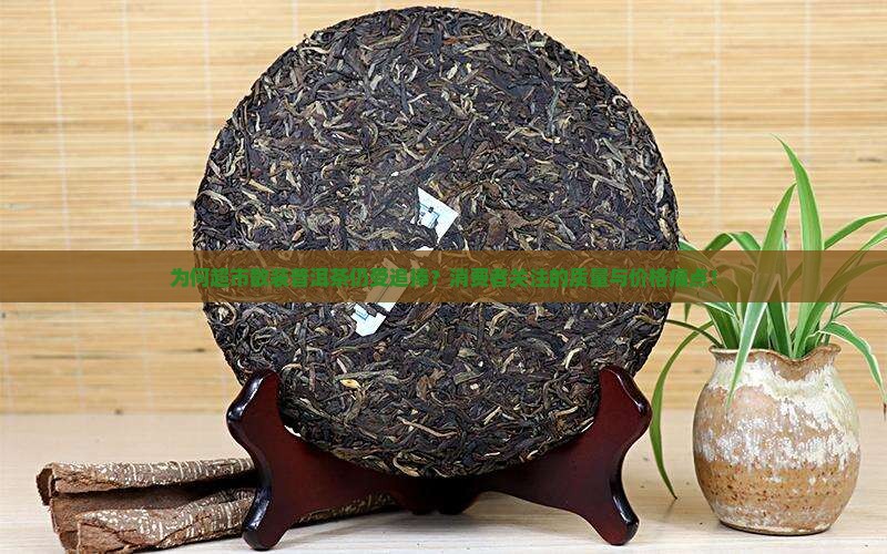 为何超市散装普洱茶仍受追捧？消费者关注的质量与价格痛点！